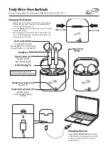 iLive IAEBT209 User Manual preview