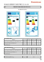 Preview for 63 page of Immergas 3.030428 Manual