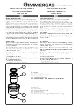 Immergas 3.031599 Quick Start Manual preview