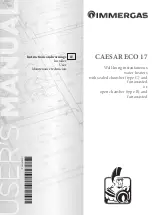 Preview for 1 page of Immergas CAESAR ECO 17 Instructions And Warning