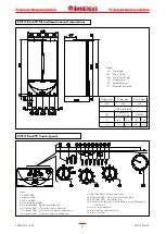 Предварительный просмотр 2 страницы Immergas EOLO Eco 24 kW Technical Documentation Manual