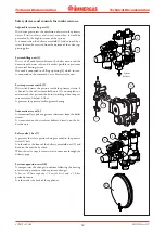 Preview for 14 page of Immergas EOLO Maior kW Manual