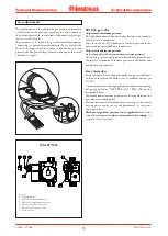 Preview for 20 page of Immergas EOLO Maior kW Manual