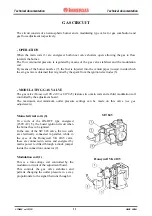 Preview for 13 page of Immergas NIKE Mini Export Manual