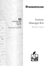 Immergas System Manager Kit Instructions And Warnings предпросмотр