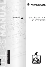 Предварительный просмотр 1 страницы Immergas VICTRIX MAIOR 35 X TT 1 ERP Instruction And Recommendation Booklet