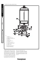 Предварительный просмотр 20 страницы Immergas Victrix Pro 100 2ErP Instruction And Warning Book