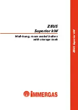 Immergas Zeus Superior Manual предпросмотр