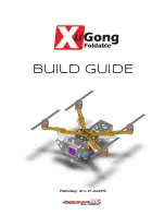 Preview for 1 page of ImmersionRC XuGong Build Manual