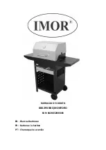 Preview for 1 page of IMOR 080.393 Manual