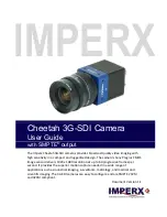 Imperx IMX-174LLJ-C User Manual предпросмотр