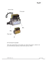 Preview for 20 page of Impresind Ray 1E Installation And Operating Instruction