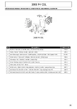 Preview for 30 page of ims PRO 200E FV CEL Manual