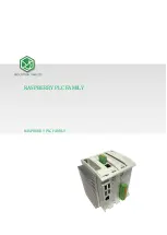 Preview for 1 page of Industrial Shields Raspberry PLC 19R+ Quick User Manual