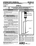 Ingersoll-Rand 2-BALL BASIC PUMP 650453-X Operator'S Manual preview