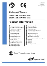 Ingersoll-Rand 2101P Product Information preview