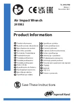 Ingersoll-Rand 2955B2 Product Information preview