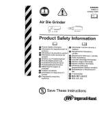 Ingersoll-Rand 3101G Instructions Manual предпросмотр