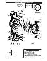 Preview for 5 page of Ingersoll-Rand 66M150-XXX-C Operator'S Manual