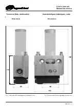 Предварительный просмотр 21 страницы Ingersoll-Rand Easy lub 86603313 User Manual