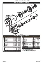 Preview for 10 page of Ingersoll-Rand MP PUMPS CHEMFLO 6 Operator'S Manual