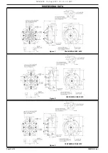 Предварительный просмотр 12 страницы Ingersoll-Rand MP PUMPS CHEMFLO 8 Operator'S Manual