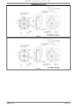 Предварительный просмотр 13 страницы Ingersoll-Rand MP PUMPS CHEMFLO 8 Operator'S Manual