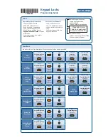 Ingersoll-Rand Schlage Camelot FE365-CAM-GEO Programming Manual предпросмотр