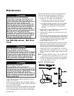 Preview for 43 page of Ingersoll-Rand WSC036E Installation & Operation Manual