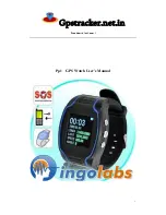 Ingolabs Pp1 User Manual предпросмотр