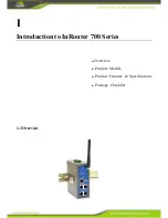 Предварительный просмотр 4 страницы InHand InRouter 700 Series User Manual