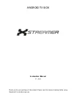 InPlay Xstreamer Instruction Manual preview
