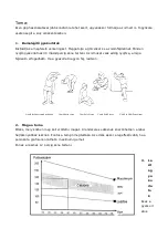 Предварительный просмотр 51 страницы Insportline IN 2206 Manual