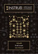 Instruo Dual Looper User Manual preview