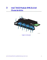 Предварительный просмотр 19 страницы Intel AXXRMS2LL040 Hardware User'S Manual