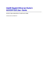 Intel AXXSW1GB User Manual preview