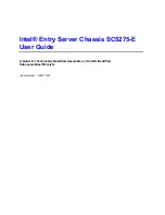 Intel C50277-001 User Manual preview