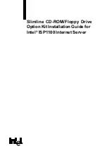 Preview for 1 page of Intel ISP1100 - Server Platform - 0 MB RAM Installation Manual