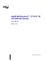 Preview for 1 page of Intel NetStructure ZT 8101 10 User Manual