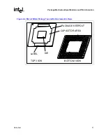 Предварительный просмотр 51 страницы Intel Pentium M 715 Datasheet