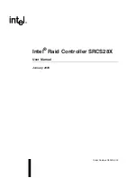 Intel Raid Controller User Manual preview