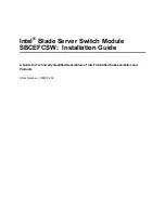 Предварительный просмотр 1 страницы Intel SBCEFCSW Installation Manual