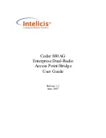 Preview for 1 page of Intelicis Cedar 880AG User Manual