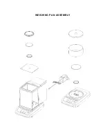 Preview for 4 page of Intelligent Weighing Technology intell-lab ph series User'S Operation Manual