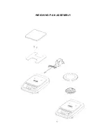 Preview for 5 page of Intelligent Weighing Technology intell-lab ph series User'S Operation Manual