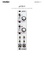 Intellijel mVCA II User Manual preview