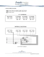 Preview for 9 page of Intellimeter i -meter MF3 Installation And User Manual