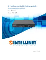 Intellinet 561167 User Manual предпросмотр