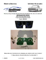 Intellitronix BG6003 Installation Manual preview