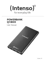 Intenso Q10000 User Manual preview